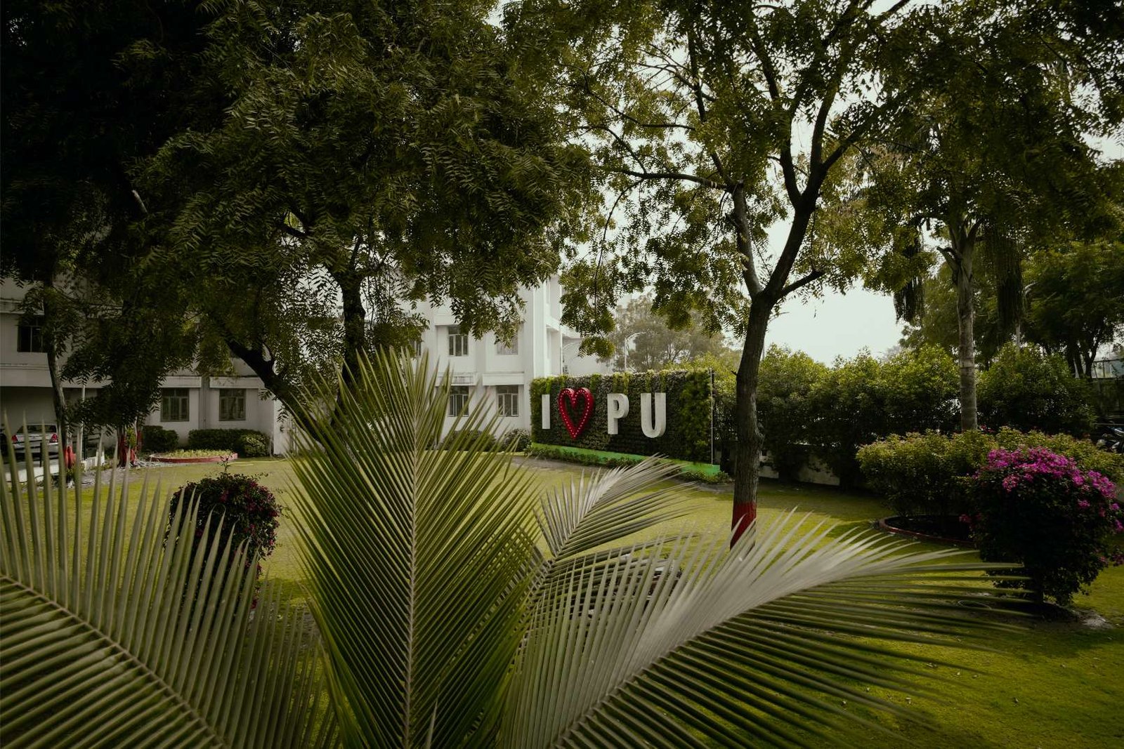 Parul University campus photographs